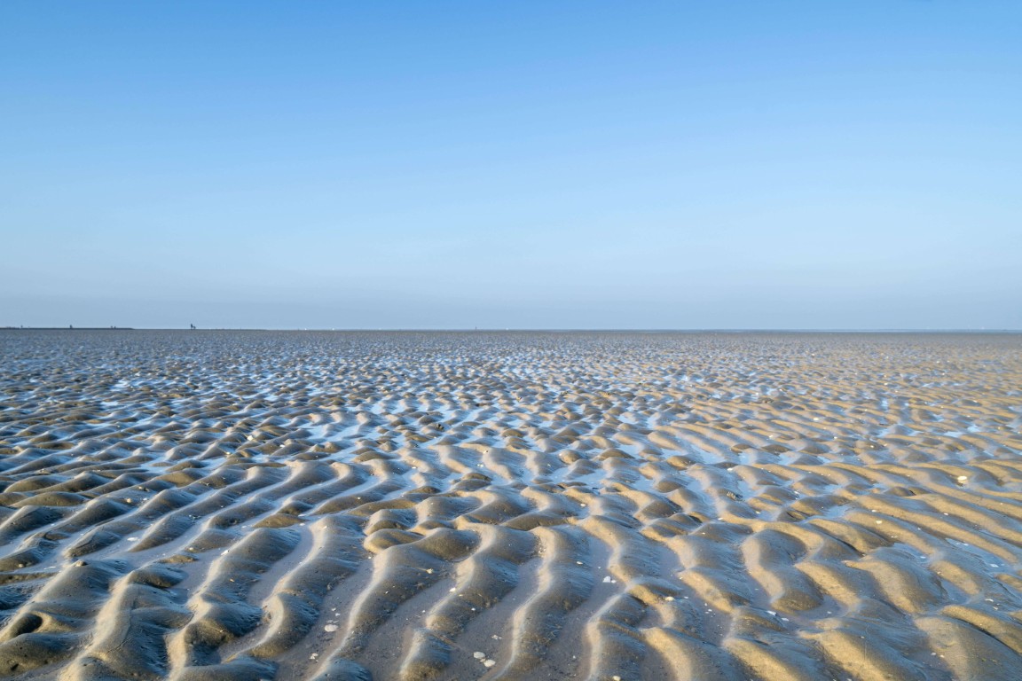 images/Img
